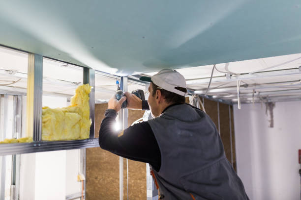 Best Spray Foam Insulation in Gold Canyon, AZ