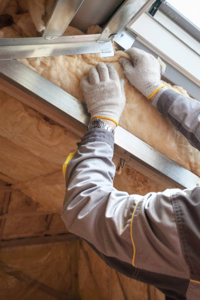 Best Specialized Insulation Services in Gold Canyon, AZ