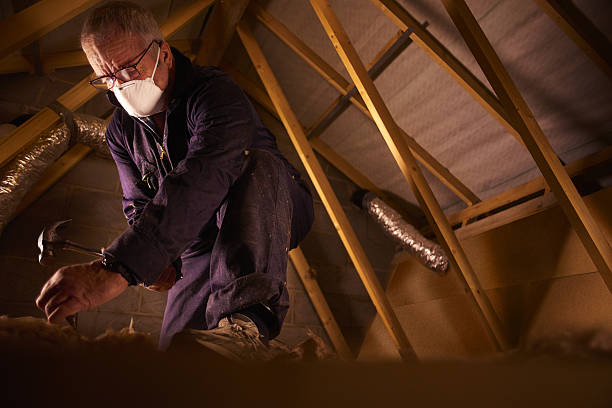 Best Blown-in Insulation in Gold Canyon, AZ