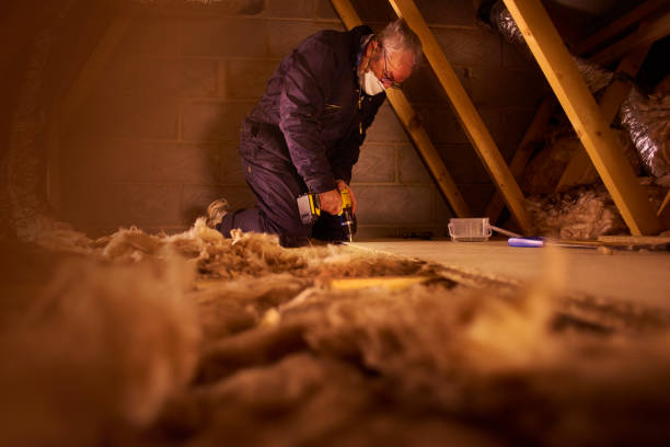 Best Residential Insulation in Gold Canyon, AZ